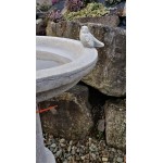 Bird Bath With Bird